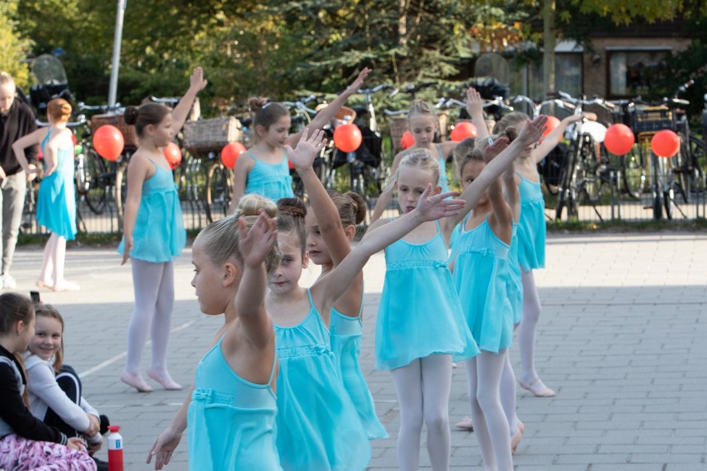 Schoolplein Festival A056.jpg